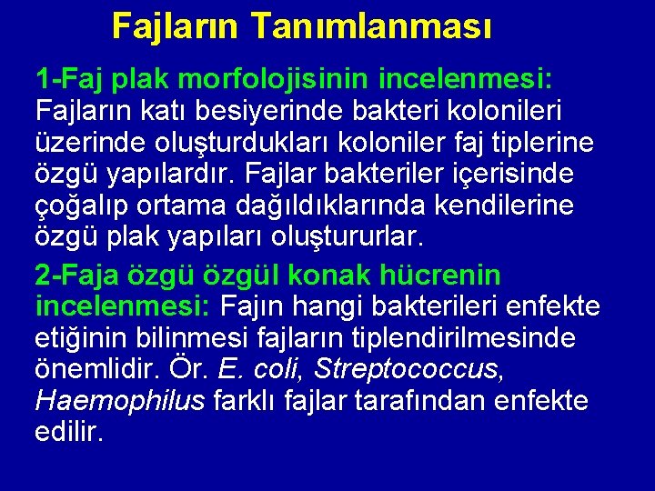 Fajların Tanımlanması 1 -Faj plak morfolojisinin incelenmesi: Fajların katı besiyerinde bakteri kolonileri üzerinde oluşturdukları