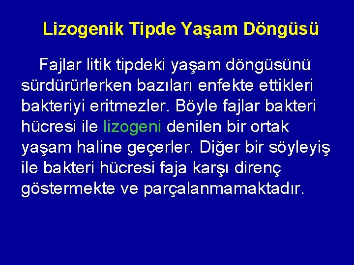 Lizogenik Tipde Yaşam Döngüsü Fajlar litik tipdeki yaşam döngüsünü sürdürürlerken bazıları enfekte ettikleri bakteriyi