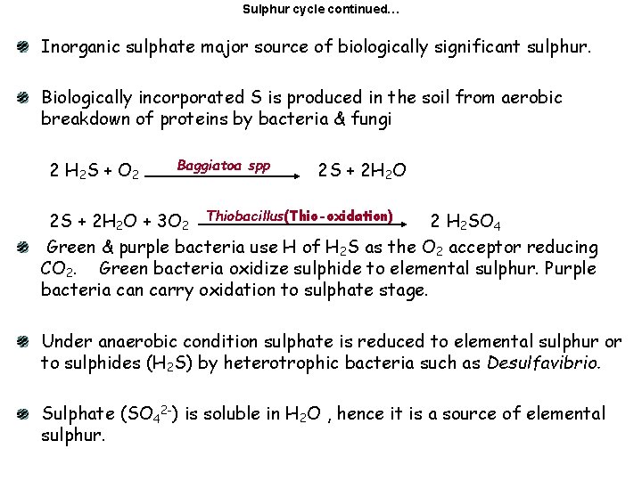 Sulphur cycle continued… Inorganic sulphate major source of biologically significant sulphur. Biologically incorporated S
