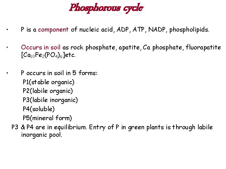 Phosphorous cycle • P is a component of nucleic acid, ADP, ATP, NADP, phospholipids.