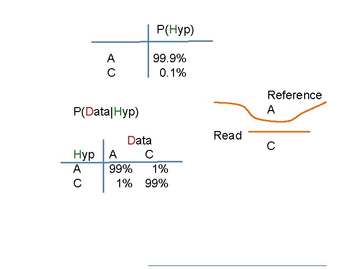 P(Hyp) A C 99. 9% 0. 1% Reference A P(Data|Hyp) Hyp A C Data