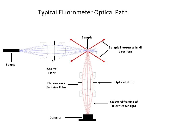 Typical Fluorometer Optical Path Sample Fluoresces in all directions Source Filter Fluorescence Emission Filter