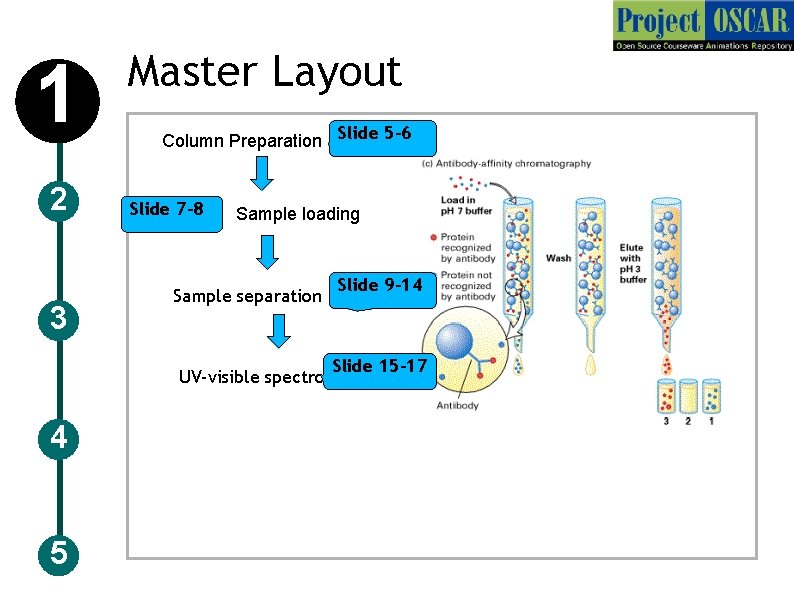 1 2 3 Master Layout Column Preparation Slide 5 -6 Slide 7 -8 Sample