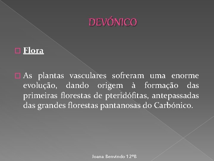 DEVÓNICO � Flora � As plantas vasculares sofreram uma enorme evolução, dando origem à