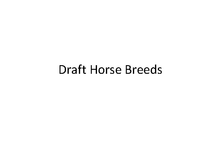 Draft Horse Breeds 