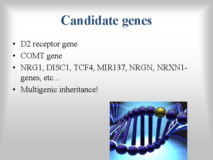 Candidate genes • D 2 receptor gene • COMT gene • NRG 1, DISC