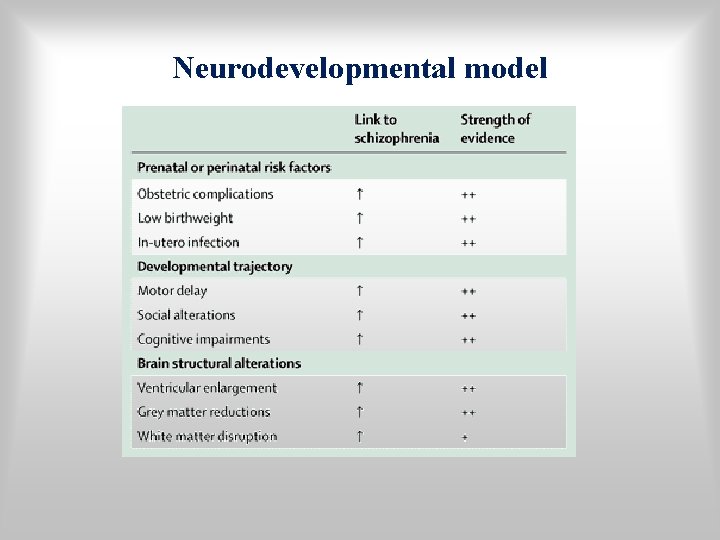 Neurodevelopmental model 