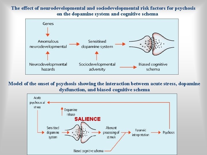 The effect of neurodevelopmental and sociodevelopmental risk factors for psychosis on the dopamine system