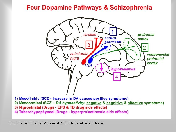 http: //tmedweb. tulane. edu/pharmwiki/doku. php/rx_of_schizophrenia 