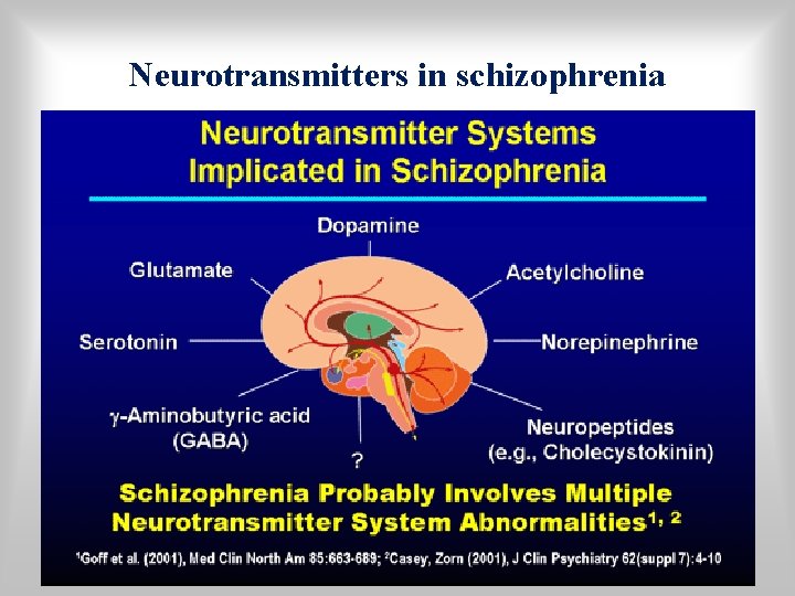 Neurotransmitters in schizophrenia 