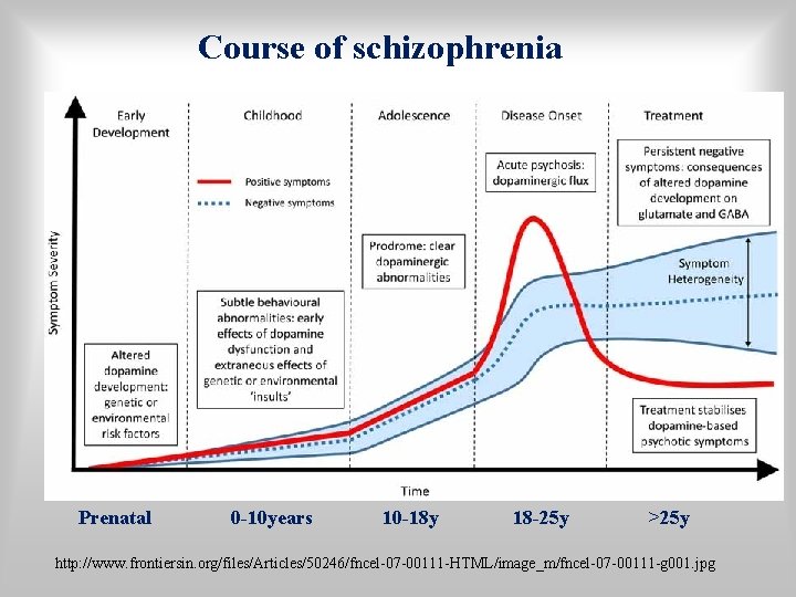 Course of schizophrenia Prenatal 0 -10 years 10 -18 y 18 -25 y >25
