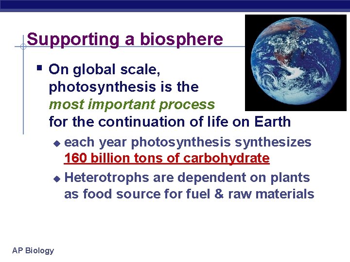 Supporting a biosphere § On global scale, photosynthesis is the most important process for