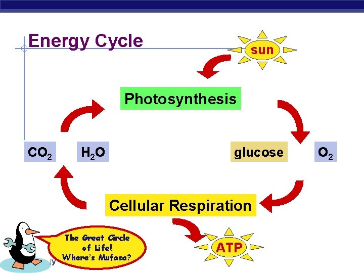 Energy Cycle sun Photosynthesis CO 2 H 2 O glucose Cellular Respiration The Great