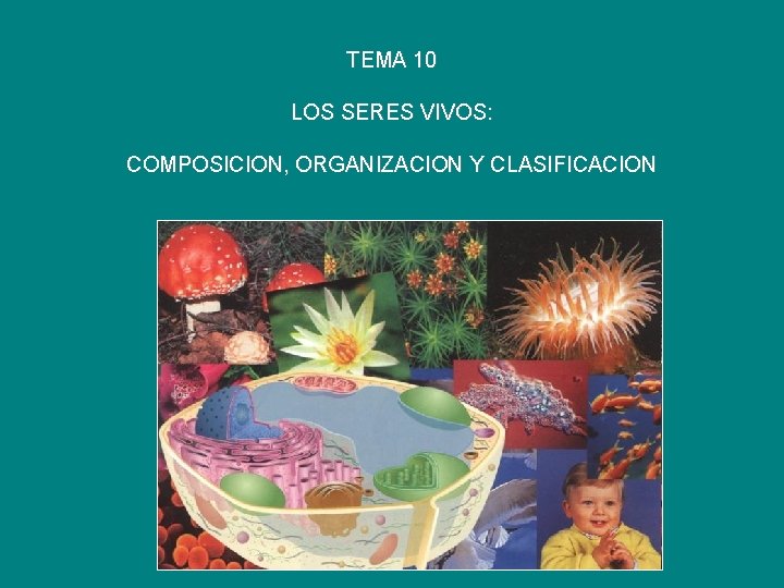 TEMA 10 LOS SERES VIVOS: COMPOSICION, ORGANIZACION Y CLASIFICACION 