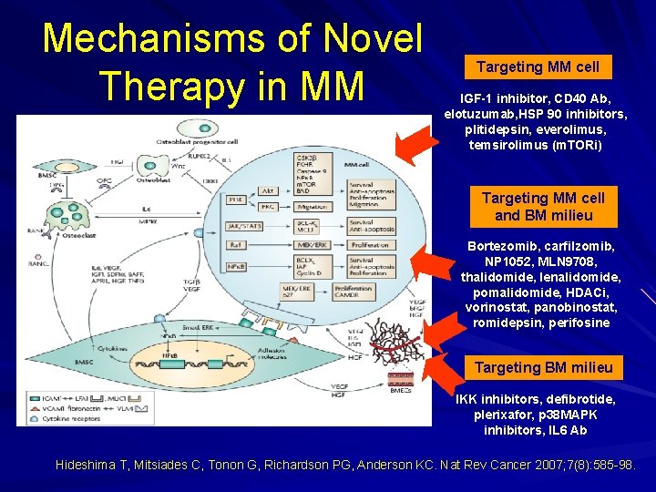 Mechanisms of Novel Therapy in MM Targeting MM cell IGF-1 inhibitor, CD 40 Ab,