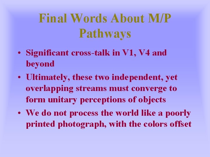 Final Words About M/P Pathways • Significant cross-talk in V 1, V 4 and