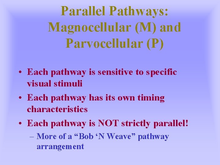 Parallel Pathways: Magnocellular (M) and Parvocellular (P) • Each pathway is sensitive to specific