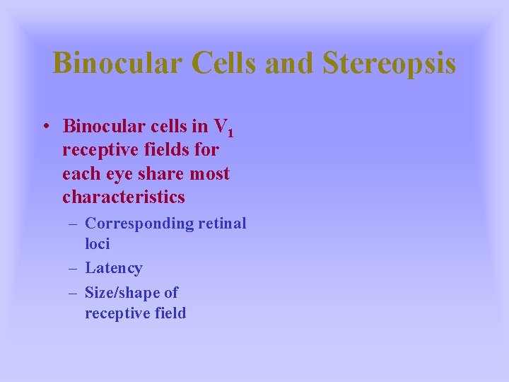 Binocular Cells and Stereopsis • Binocular cells in V 1 receptive fields for each