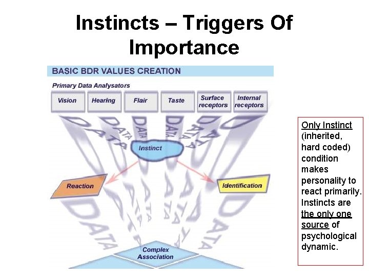 Instincts – Triggers Of Importance Only Instinct (inherited, hard coded) condition makes personality to