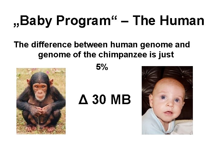 „Baby Program“ – The Human The difference between human genome and genome of the