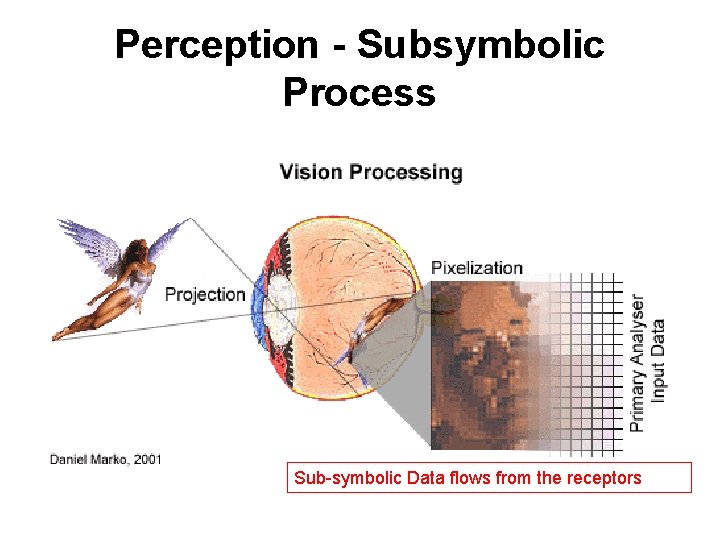 Perception - Subsymbolic Process Sub-symbolic Data flows from the receptors 