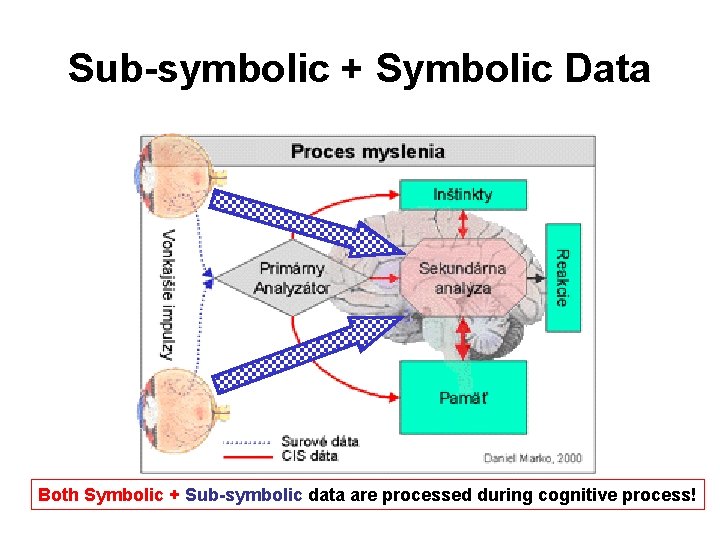 Sub-symbolic + Symbolic Data Both Symbolic + Sub-symbolic data are processed during cognitive process!