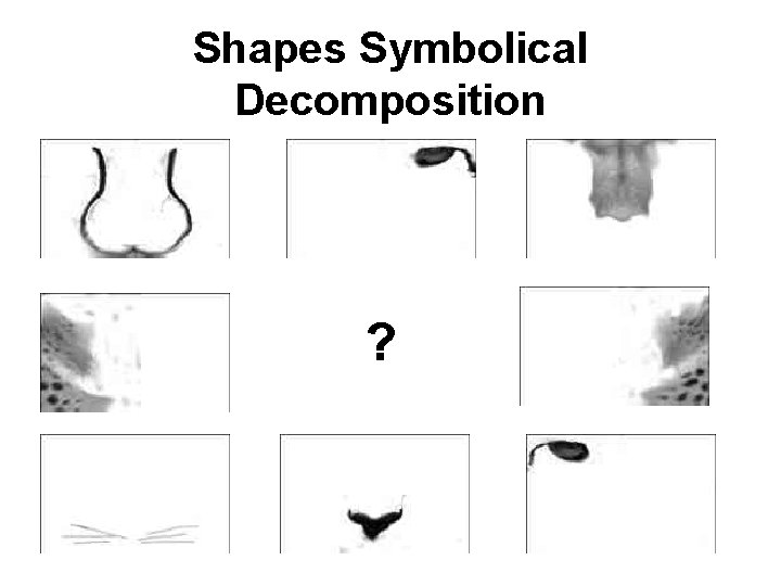 Shapes Symbolical Decomposition ? 
