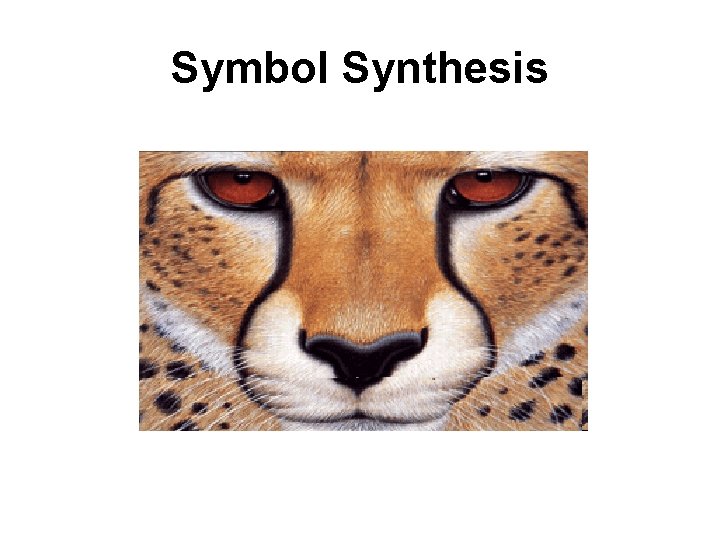 Symbol Synthesis 
