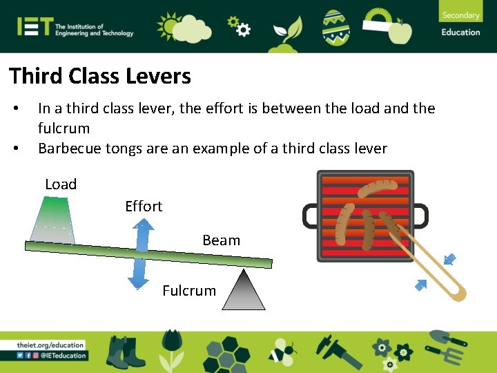 Third Class Levers • • In a third class lever, the effort is between