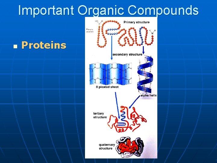 Important Organic Compounds n Proteins 