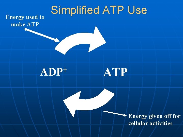 Energy used to make ATP Simplified ATP Use ADP+ ATP Energy given off for
