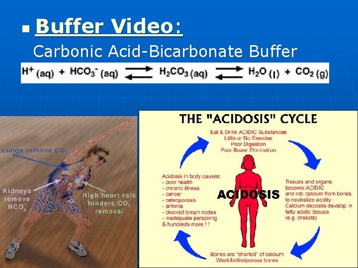 n Buffer Video: Carbonic Acid-Bicarbonate Buffer 