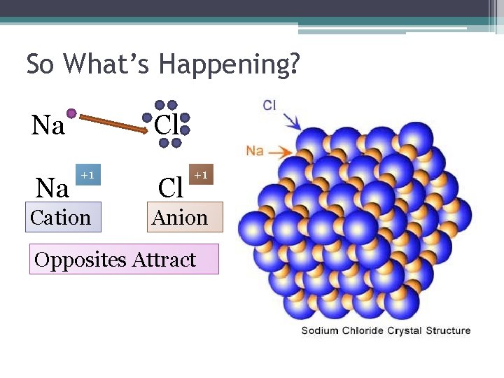 So What’s Happening? Na Na Cl +1 Cation Cl +1 Anion Opposites Attract 