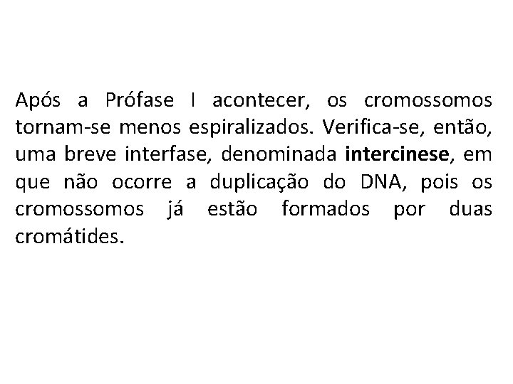 Após a Prófase I acontecer, os cromossomos tornam-se menos espiralizados. Verifica-se, então, uma breve