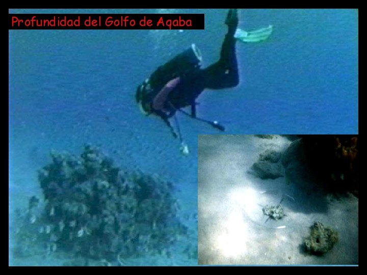 Profundidad del Golfo de Aqaba 
