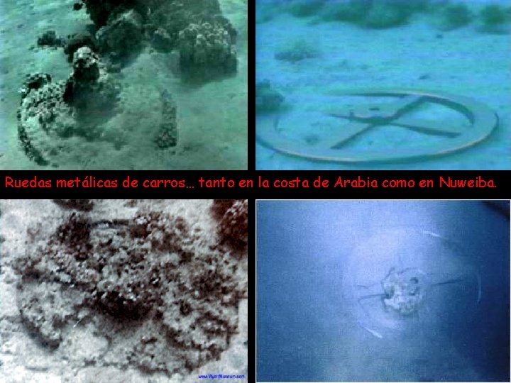 Ruedas metálicas de carros… tanto en la costa de Arabia como en Nuweiba. 