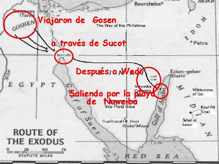 Viajaron de Gosen a través de Sucot Después a Wadi Saliendo por la playa