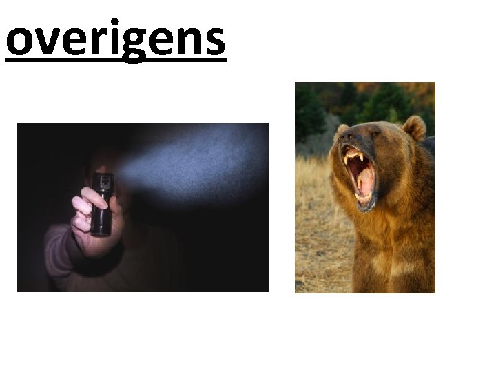 overigens 