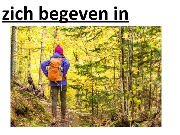 zich begeven in 