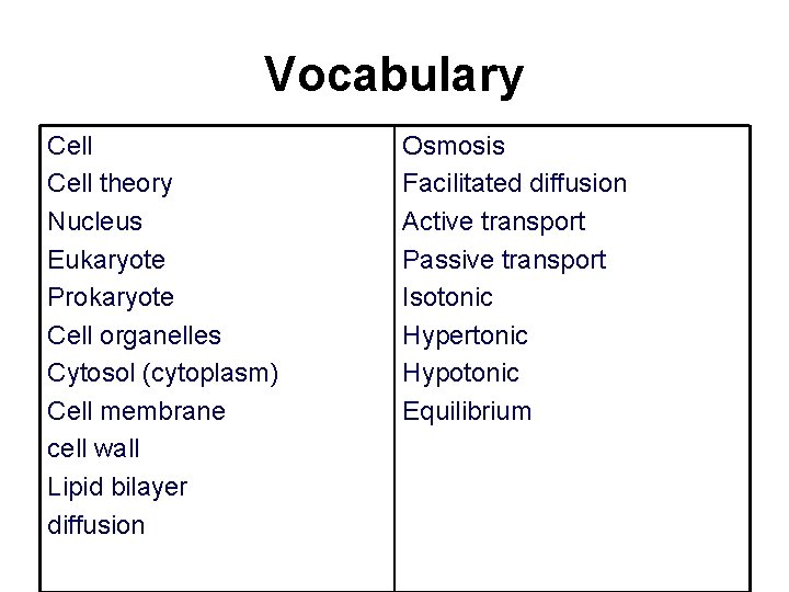 Vocabulary Cell theory Nucleus Eukaryote Prokaryote Cell organelles Cytosol (cytoplasm) Cell membrane cell wall