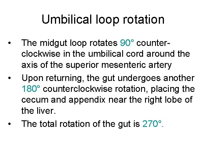 Umbilical loop rotation • • • The midgut loop rotates 90° counterclockwise in the