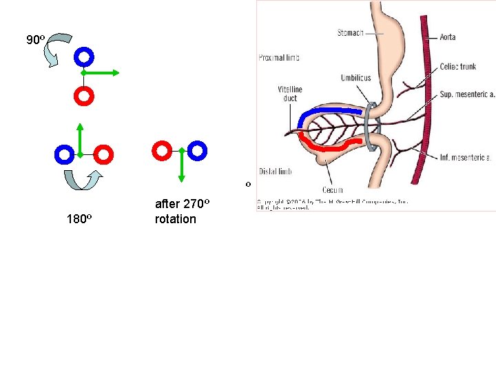 90º º 180º after 270º rotation 