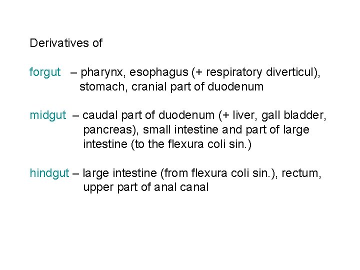Derivatives of forgut – pharynx, esophagus (+ respiratory diverticul), stomach, cranial part of duodenum