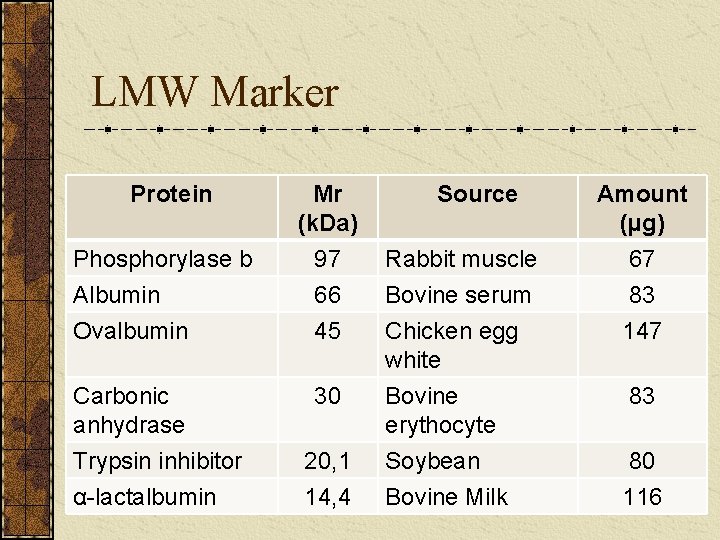 LMW Marker Protein Mr (k. Da) Source Amount (µg) Phosphorylase b Albumin 97 66