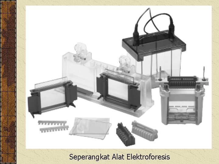 Seperangkat Alat Elektroforesis 