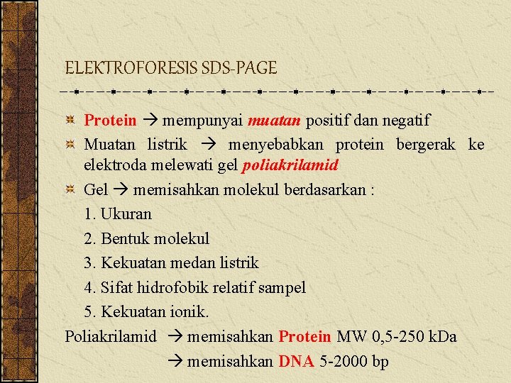 ELEKTROFORESIS SDS-PAGE Protein mempunyai muatan positif dan negatif Muatan listrik menyebabkan protein bergerak ke