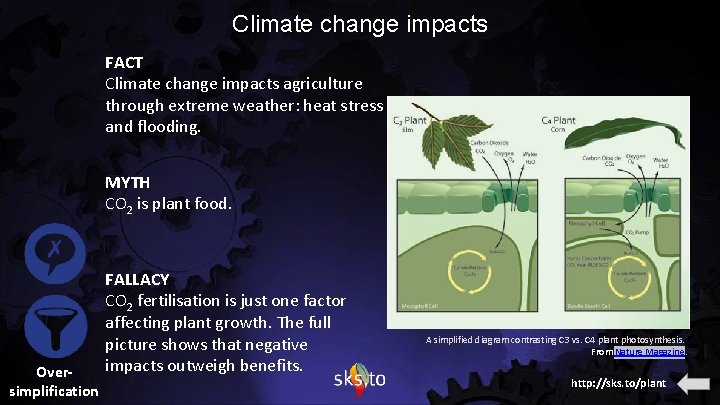 Climate change impacts FACT Climate change impacts agriculture through extreme weather: heat stress and