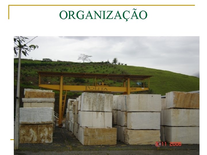 ORGANIZAÇÃO 