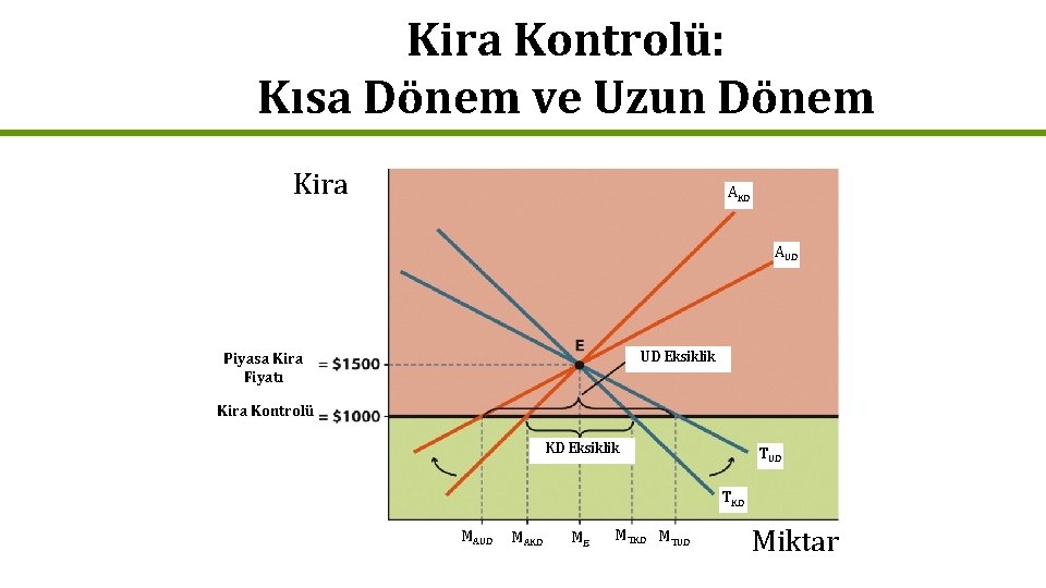 Kira Kontrolü: Kısa Dönem ve Uzun Dönem Kira AKD AUD UD Eksiklik Piyasa Kira