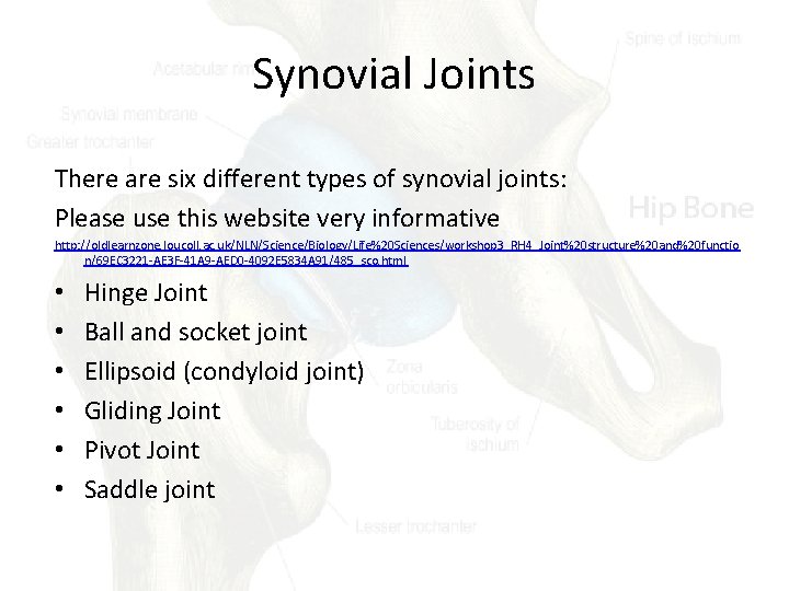 Synovial Joints There are six different types of synovial joints: Please use this website